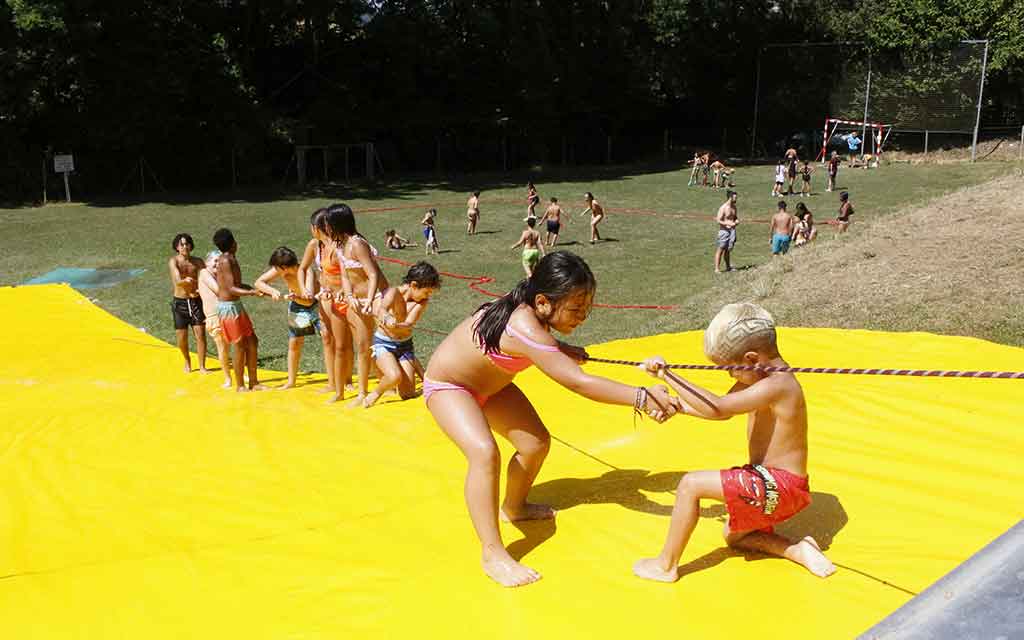 2026 colonies 29