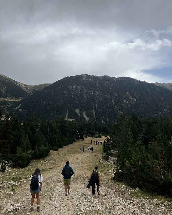 2026 ruta 29
