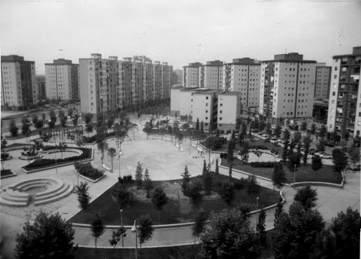 placa roja1981